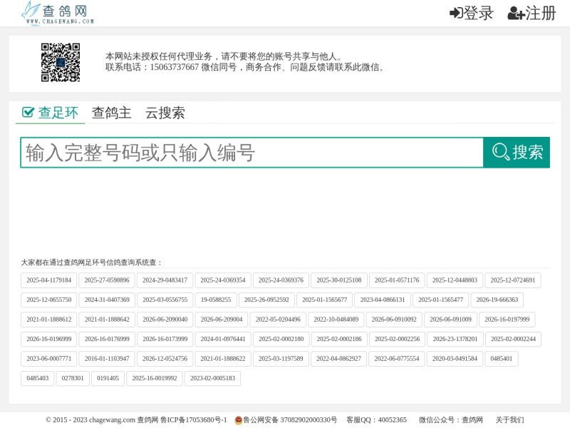 查鸽网